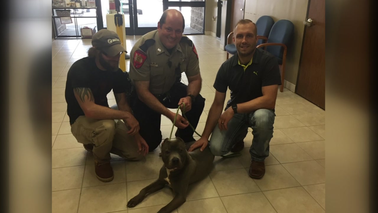 Man arrested and charged with animal cruelty
